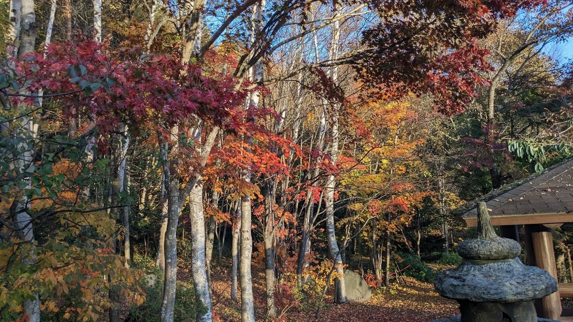 The Lakeview Toya Shirokumanoyado 洞爺湖町 日本